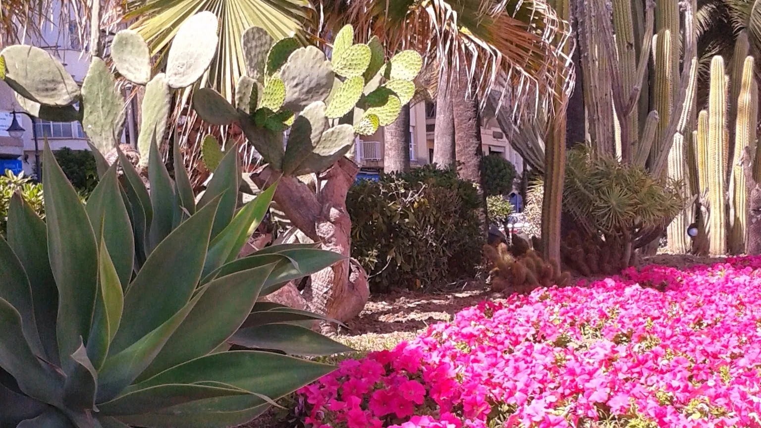 The promenade at Estepona